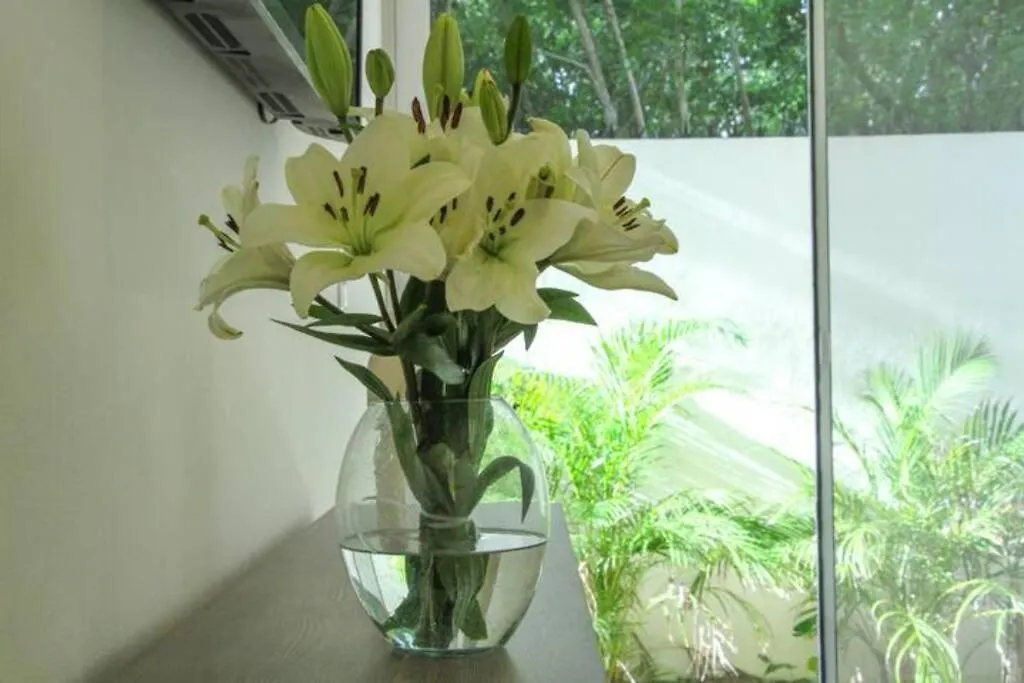 Aqua De Sal 01 Private Casa At Aldea Zama Sleeps 5 Lejlighed Tulum